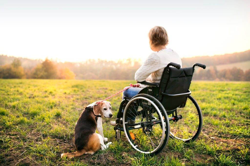 Una mujer en silla de ruedas con su perro a su lado